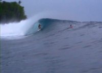 surf10th avatar
