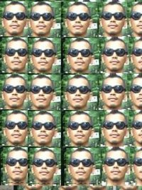 fuji avatar