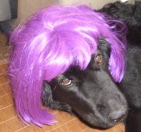 txo avatar
