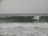 surfing21 avatar