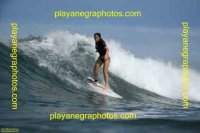 nicolesurfing avatar