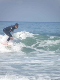 peaceful.surfer avatar