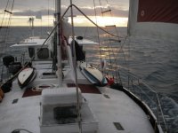 iwalani avatar