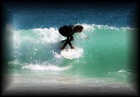 surferdude94 avatar