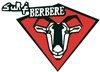 Surf Berbere avatar