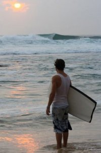 timmyp avatar