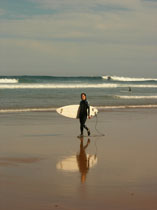 BoardElle avatar