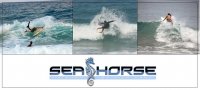 seahorse avatar