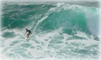 SurfSuicide4 avatar
