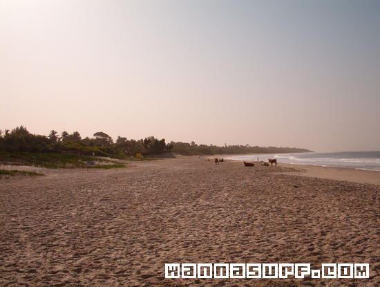 foto de surf