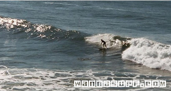 foto de surf
