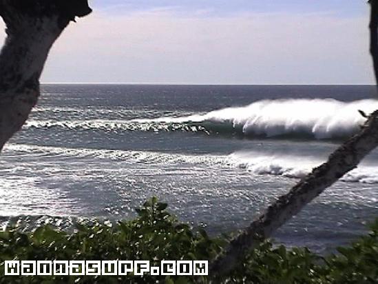 foto de surf