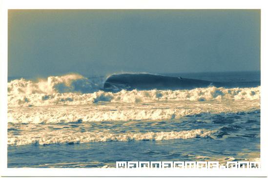 foto de surf