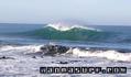 foto de surf