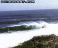 foto de surf