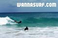 foto de surf