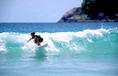 foto de surf