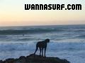 foto de surf