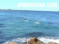 foto de surf