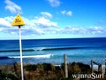 foto de surf