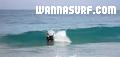 foto de surf
