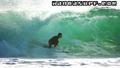 foto de surf