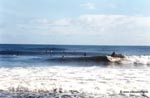 foto de surf