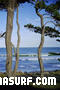 foto de surf