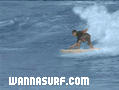 foto de surf