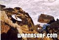 foto de surf