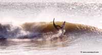foto de surf