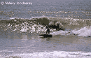 foto de surf