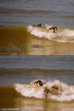foto de surf