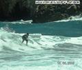 foto de surf
