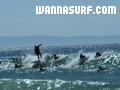 foto de surf