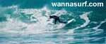 foto de surf