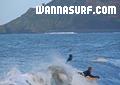 foto de surf