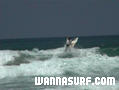 foto de surf