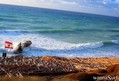 foto de surf