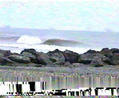 foto de surf