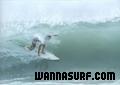 foto de surf
