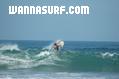 foto de surf